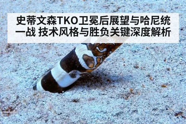 史蒂文森TKO卫冕后展望与哈尼统一战 技术风格与胜负关键深度解析