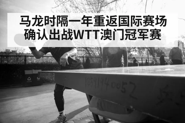 Ma Long table tennis